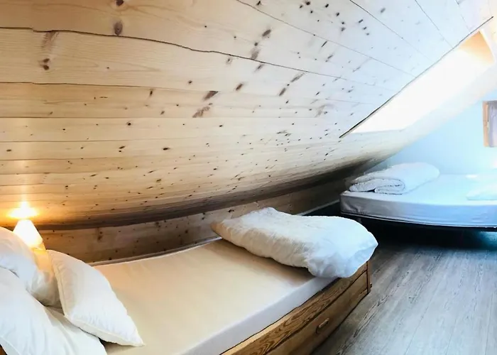 Les Choucas - Sur Les Pistes Mae-4284 Appartement La Plagne